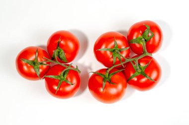 Beyaz arkaplanda izole edilmiş bir dalda birkaç kırmızı domates.