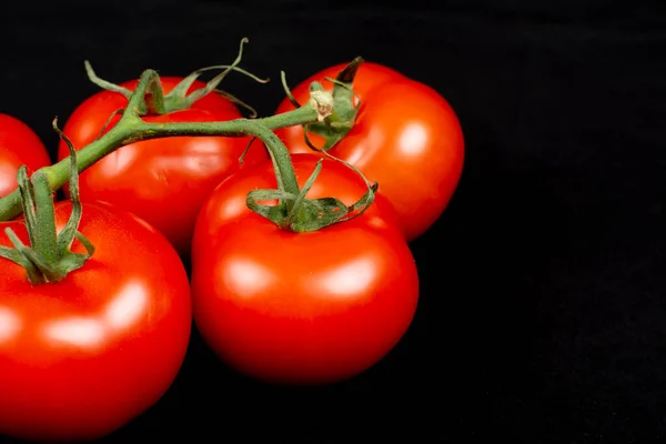 Siyah arkaplanda birkaç olgun kırmızı domates.