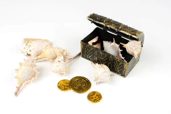 Groupe Coquillages Mollusques Pièces Monnaie Pirate Sur Fond Blanc — Photo