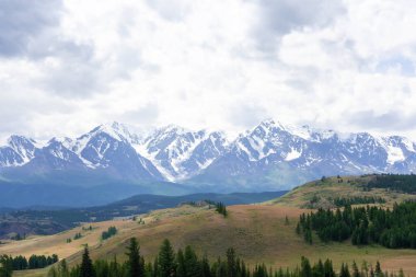 Dağların karlı zirveleri ve bulutlu gökyüzünün arka planında bozkır.