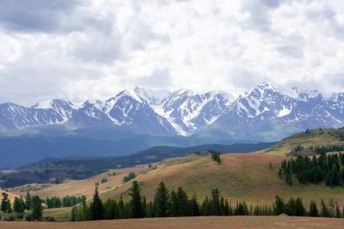 Dağların karlı zirveleri ve bulutlu gökyüzünün arka planında bozkır.
