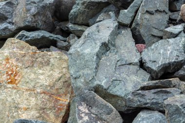 Dağın yakınındaki kayalarla dolu büyük bir yığın.