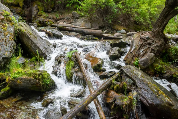 Logs Boulders Path Mountain Stream — Stock Photo, Image