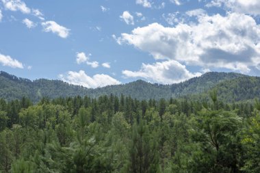 Gorny Altai, Rusya. Bulutlu bir gökyüzünün arka planında dağ zirveleri