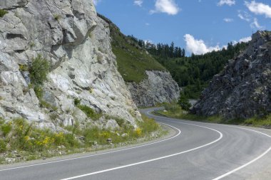 Bir dağ geçidindeki kayaların arasında asfalt yol. Rusya, Altai Dağı
