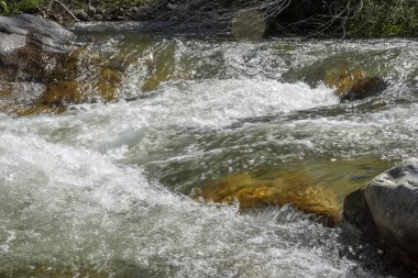 Gorny Altai, Rusya. Küçük ama engebeli dağ nehri