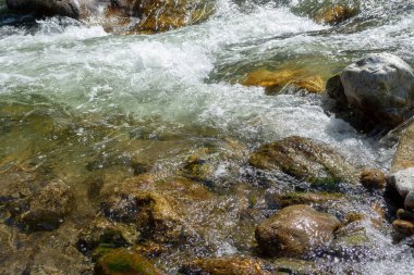 Gorny Altai, Rusya. Küçük ama engebeli dağ nehri