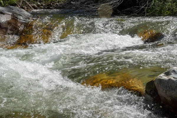 Gorny Altai Russia Small Rough Mountain River — Stock Photo, Image