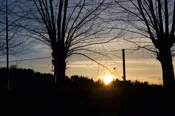 Belo Pôr Sol Foto Através Das Árvores — Fotografia de Stock