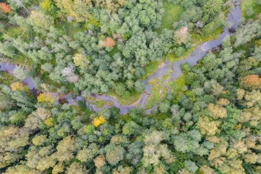 Sarmal nehrin yukarıdan aşağıya yeşil ormandan akan görüntüsü.