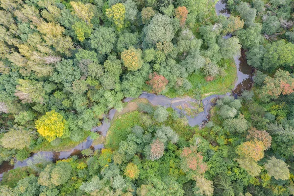 Aerial Top View Winding River Flowing Green Forest — Stock Photo, Image