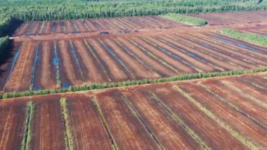 Havadan çekilen fotoğraf turba hasat alanının üzerinde uçuyor. Peat çıkarımı