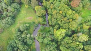 Yukarıdan aşağıya doğru uçuyor kıvrımlı nehrin üzerinden yeşil ormanda akıyor.