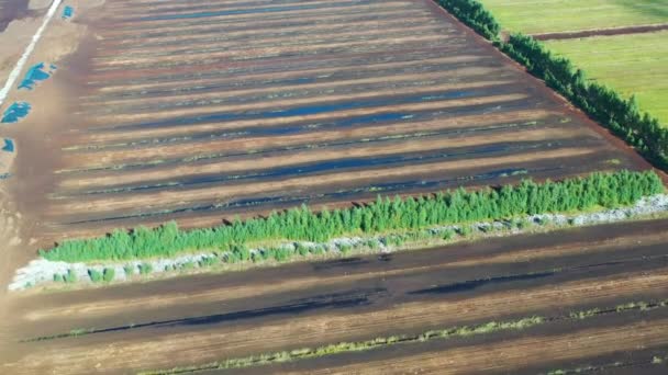 Prise de vue aérienne survolant le champ de récolte de tourbe. Extraction de tourbe — Video