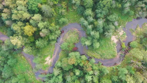 Вид сверху вниз, пролетающий над извилистой рекой, протекающей через зеленый лес — стоковое видео