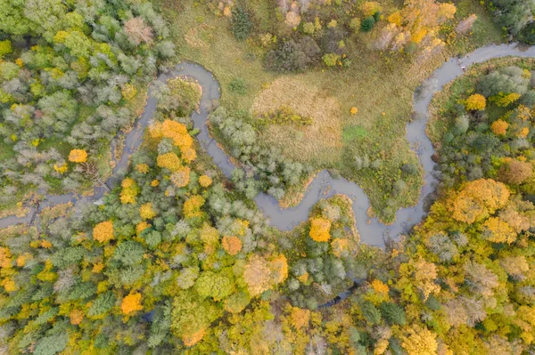 Aerial Top View River Flowing Green Yellow Autumn Forest — Stock Photo, Image