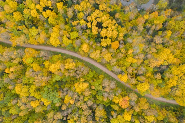 Altın Sarısı Sonbahar Ormanı Boyunca Uzanan Kavisli Çakıl Yolunun Yukarıdan — Stok fotoğraf