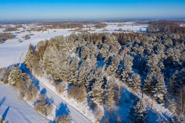 Kırsal araziyi kaplayan karlı hava manzarası orman ve kır yolu ile