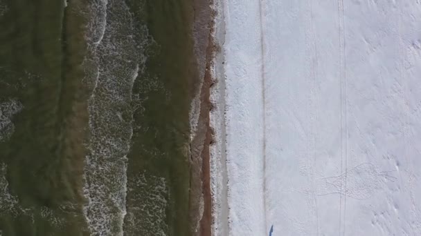 Luchtfoto naar beneden die boven de zeekust vliegt in de winter. Sneeuwstrand, wandelende mensen — Stockvideo