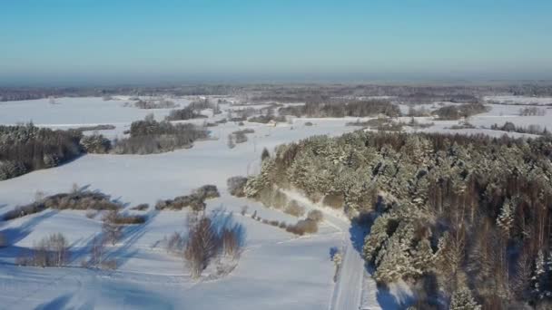 Widok z lotu ptaka nad śniegiem pokryte krajobraz wiejski — Wideo stockowe