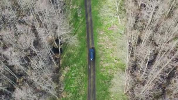 Aereo sopra girato a seguito di una macchina di guida attraverso la strada sterrata circondata da foresta bagnata. Alberi senza foglie intorno — Video Stock