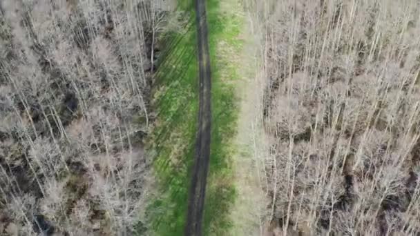 Aereo sopra girato seguendo strada sterrata circondata da foresta bagnata. Alberi senza foglie intorno — Video Stock