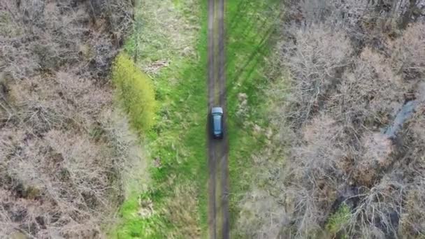 Aereo sopra girato a seguito di una macchina di guida attraverso la strada sterrata circondata da foresta bagnata. Alberi senza foglie intorno — Video Stock