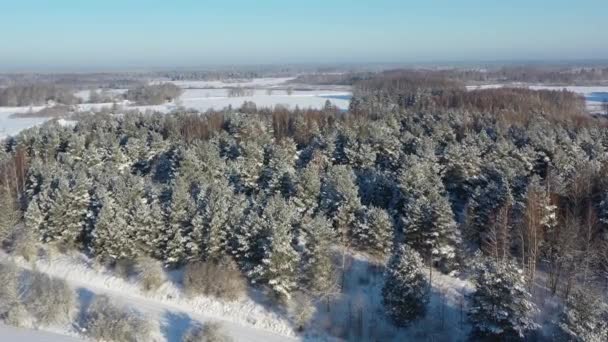 Luftbild fliegt über verschneite Winterlandschaft mit Wald — Stockvideo