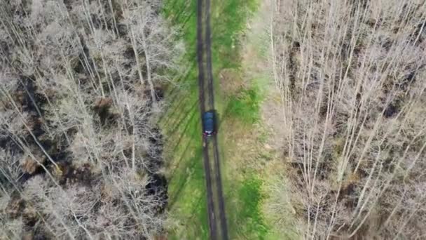 Aereo sopra girato seguendo SUV auto guida attraverso strada sterrata circondata da foresta bagnata. Alberi senza foglie intorno — Video Stock