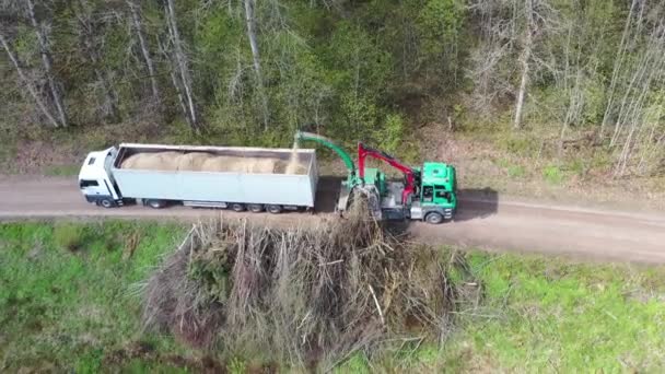 Luchtfoto van houtversnipperaar blaast versnipperd hout in de achterkant van een vrachtwagen. Bosachtergrond — Stockvideo