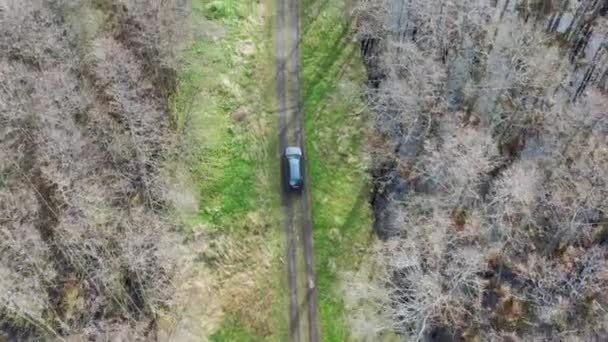 Aerial acima tiro após um carro que conduz através de estrada de terra cercada por floresta molhada. Árvores sem folhas ao redor — Vídeo de Stock