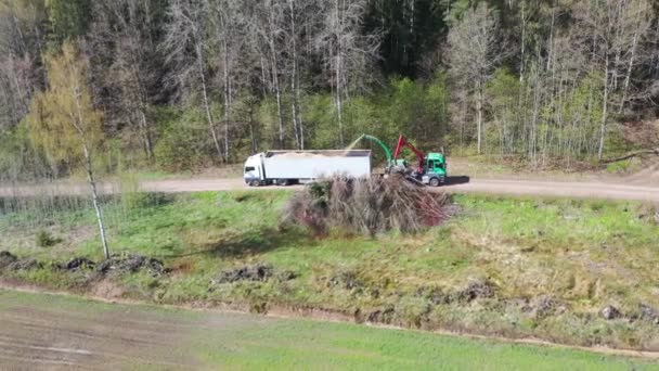 Luchtfoto van houtversnipperaar die versnipperd hout in een vrachtwagen blaast. Bosachtergrond — Stockvideo