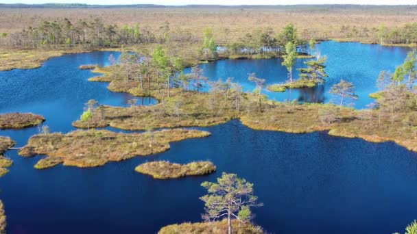 Luchtfoto rond kleine meren in veenmoeras — Stockvideo