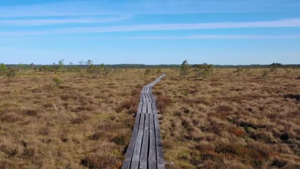 Перемещение по мосту через торфяное болото — стоковое видео