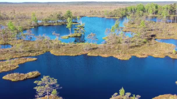 Luchtfoto rond kleine meren in veenmoeras — Stockvideo