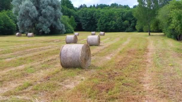 Flying over hay rolls with green, lush forest in background — Stock Video