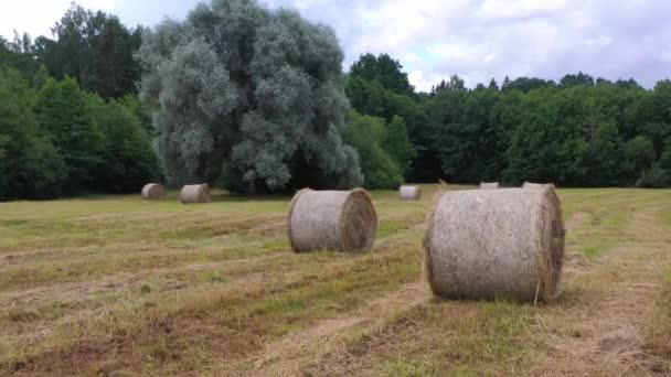 Flying over hay rolls with green, lush forest in background — Stock Video