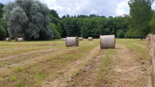 Repülő között széna tekercsek zöld, buja erdő a háttérben — Stock videók