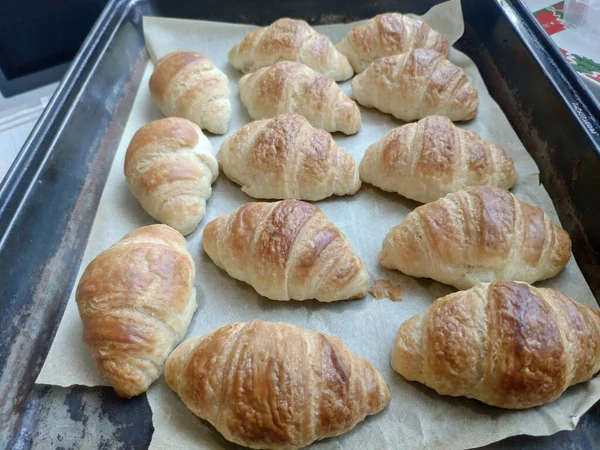 Croissants Français Maison Fraîchement Cuits Sur Assiette — Photo