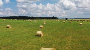 Yeşil çayırda saman rulolarının üzerinde uçuyorlar. Bulutlu gökyüzü arkaplanı
