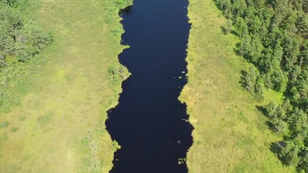 Tiro aéreo voando sobre e ao longo do lago pântano estreito azul escuro na floresta verde — Vídeo de Stock