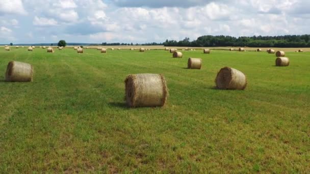 Aerial shot flying around hay rolls in green meadow. Cloudy sky background — Stock Video