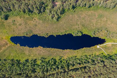 Aerial top down view of dark blue narrow swamp lake in green forest