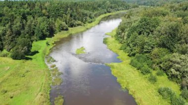 Nehir boyunca uçan bir hava görüntüsü. Yeşil ormanlarla çevrili bir nehir.