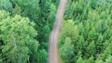 Yeşil yemyeşil ormanlarla çevrili toprak yoldan sonra havadan yüksek açılı çekim..