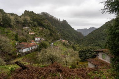 Green mountains and old houses in Ribeiro Frio, Madeira, Portugal