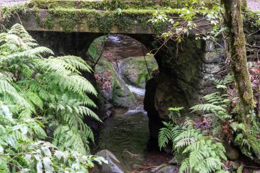 Stream flowing under stone bridge in Levada Trail Madeira, Portugal