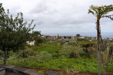 Garden in Santana, Madeira, Portugal
