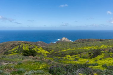 View from Pedregal Viewpoint in Porto Santo, Portugal