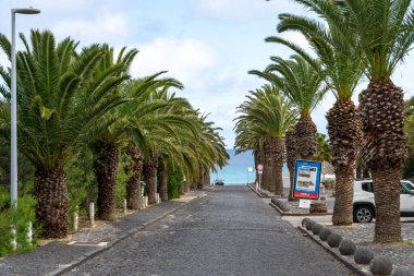 Porto Santo, Madeira, Portekiz - 03.24.2025: Porto Santo sahiline doğru uzanan sıra sıra palmiye ağaçları olan cadde